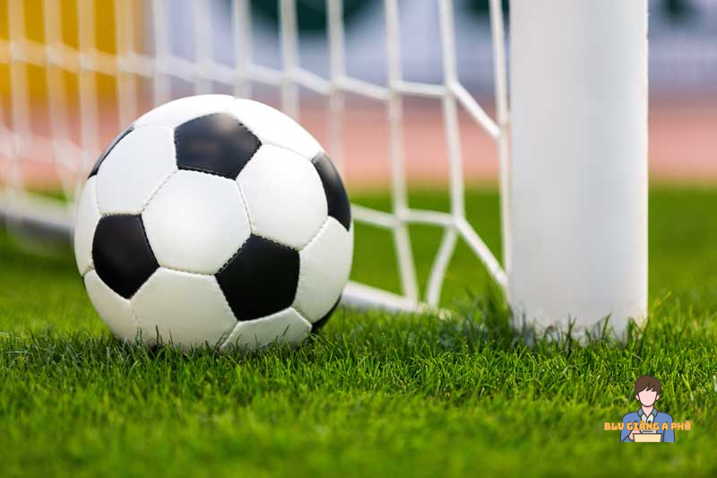 Giải thích kèo Tài Xỉu bóng đá là gì?